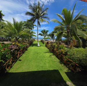 un jardín con palmeras y césped verde en TORTUGA BAY Eco Hotel en El Valle