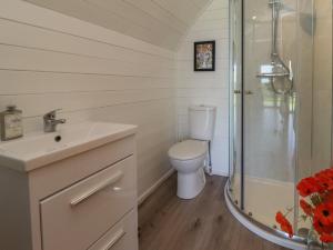 a bathroom with a toilet and a shower at Cleugh Lodge in Lockerbie