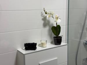 Fotografija u galeriji objekta Alpenoase u gradu Strobl