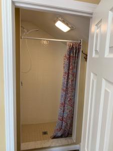 a shower with a shower curtain in a bathroom at Wu Wu's Cabins in Wasaga Beach
