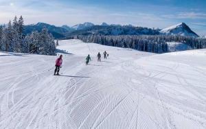 Alpenoase tokom zime