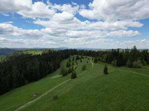 une vue aérienne sur un champ verdoyant planté d'arbres dans l'établissement Tatra Glamp Tarasówka, à Poronin