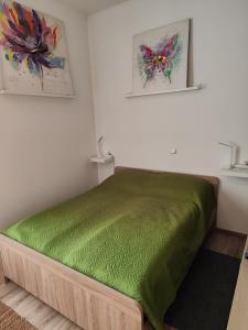 ein Schlafzimmer mit einem grünen Bett in einem Zimmer in der Unterkunft Guest House ZoNa in Pula