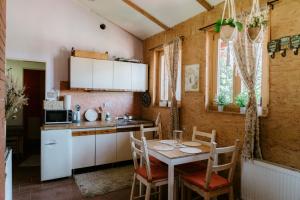 Kuchyň nebo kuchyňský kout v ubytování Ubytování na Ranči pod Lovošem