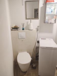 een badkamer met een wit toilet en een spiegel bij bel Appartement les pieds dans l'eau in Villeneuve-Loubet