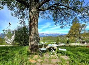 a table and chairs under a tree with a hammock at Baita dei Fovi in Baselga di Pinè