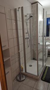 a bathroom with a shower with a glass door at Ferienwohnung Schlieben in Schlieben