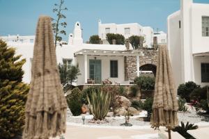 a house with a garden with cacti at Mykonos Pantheon in Kalo Livadi