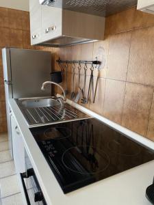 Kuchyň nebo kuchyňský kout v ubytování Ma Maison