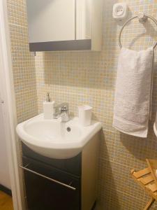 ein Bad mit einem Waschbecken und einem Spiegel in der Unterkunft Charmant 2 pièce 35m2 in Montrouge
