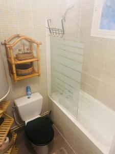 W łazience znajduje się toaleta i przeszklony prysznic. w obiekcie Charmant 2 pièce 35m2 w mieście Montrouge