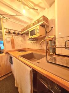 La cuisine est équipée d'un évier et d'un four micro-ondes. dans l'établissement Appartement, atelier d'artiste, à Chelles