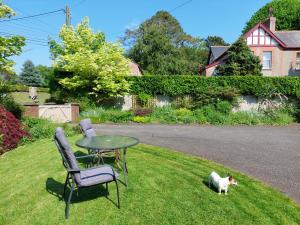um gato parado na grama ao lado de uma mesa e cadeira em The Veterinary @ Kildare Village em Kildare