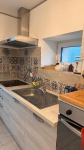une grande cuisine avec un évier et une fenêtre dans l'établissement REST AND RESTAURANT in Roveredo, à Roveredo