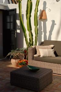 a living room with a couch and a cactus at Casa Uva - Boutique Stay in Vejer de la Frontera