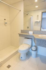 a bathroom with a toilet and a sink and a shower at Hotel Santa Monica in Cuenca