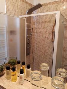 baño con ducha y encimera con botellas. en Le Petit Patio, en Aigues-Mortes