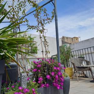 Balkón nebo terasa v ubytování Le Petit Patio