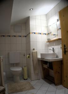 シェッファウ・アム・ヴィルデン・カイザーにあるRoana-Krummaのバスルーム(トイレ、洗面台付)