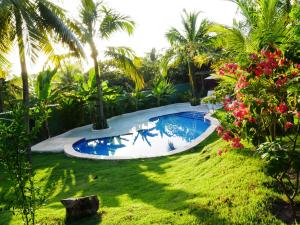 Kolam renang di atau dekat dengan SPA da FLORESTA I Pipa-Sibaúma I 5min da Praia