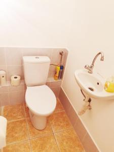 un baño con inodoro y lavabo en CLA Group Apartment, en Sopron 11 fotos más