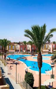 een groot zwembad met een palmboom in een resort bij Apartamento DESA Laguna Beach Vera Playa in Vera