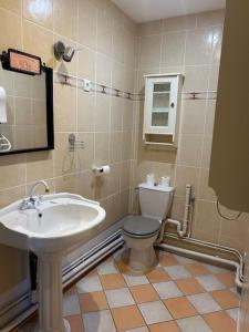 ヴィムルーにあるStudio au centre de Wimereuxのトイレと洗面台付きのバスルーム