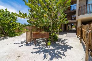 Zahrada ubytování Pool View Loft Steps From The Ocean in Punta Cocos - C101