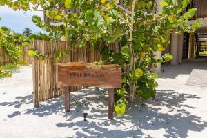 Zahrada ubytování Ocean View Loft in Punta Cocos - C102