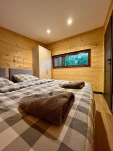 Apartamenty Sopot19 في سوبوت: سريرين في غرفة بجدران خشبية