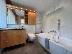 Vannituba majutusasutuses Gorgeous Apartment In The Heart Of Zweisimmen