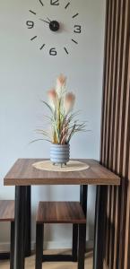 einen Tisch mit einer Pflanze darauf mit einer Uhr in der Unterkunft Royal Smart Apartments Cracow in Krakau