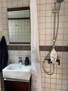 uma casa de banho com um lavatório e uma cortina de chuveiro em Cozy private annex near bathing lake and 30 min. from Copenhagen em Slangerup