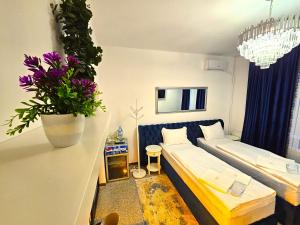 um quarto com duas camas e uma planta na parede em PERFECT VILLA Ploiesti em Ploiesti