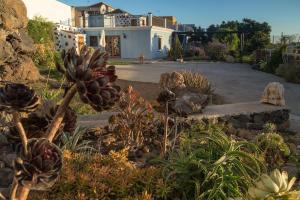 Un jardín con cactus y un banco frente a una casa. en Casa Hilda 1, en El Paso