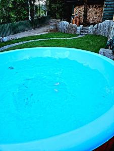 duży basen z niebieską wodą na dziedzińcu w obiekcie Alpakowy raj w Nowym Targu