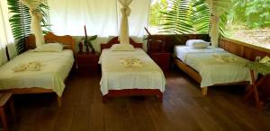 a bedroom with two beds with white sheets and a window at Amazon Tropical Expeditions in Iquitos