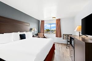 ヤキマにあるRed Lion Inn & Suites Yakimaの大型ベッドとテレビが備わるホテルルームです。