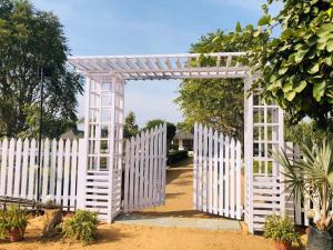 Aed väljaspool majutusasutust Cattle Inn Resort - Luxury Cottages Pushkar