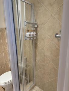 a shower stall with a toilet in a bathroom at The Muscadel - Paarl - Self Catering Apartment in Paarl +48 photos