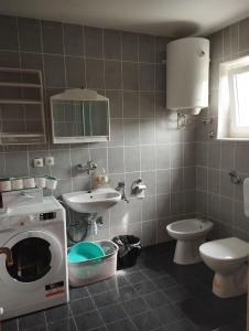ein Badezimmer mit einer Waschmaschine, einem Waschbecken und einem WC in der Unterkunft Apartment Sinčić in Kastav