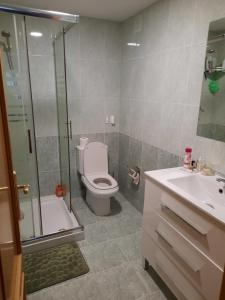 a bathroom with a toilet and a shower and a sink at Pamplona Room in Pamplona