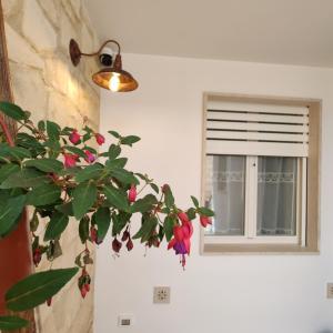 Foto dalla galleria di Raffaello Suite a Melendugno