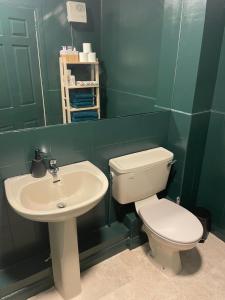 een badkamer met een toilet en een wastafel bij Home by the Liffey in Dublin