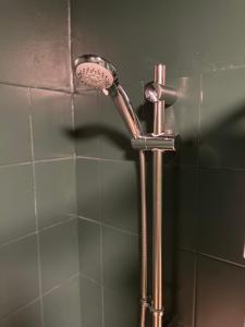 a shower with a shower head in a bathroom at Home by the Liffey in Dublin