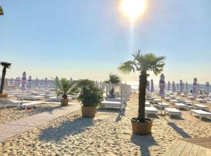 a beach with chairs and palm trees and the ocean at FERNWEH No 5 Boutique Hotel MAMAIA Nord in Mamaia Nord