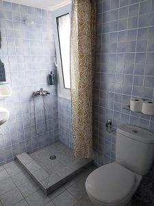a bathroom with a toilet and a shower at Aggeliki Apartments in Nikiana