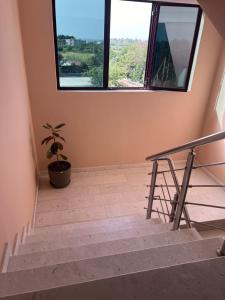 a staircase with a potted plant and a window at Apartments Rezidenca Sinani Orikum in Orikum