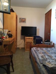 Schlafzimmer mit einem Bett, einem Schreibtisch und einem TV in der Unterkunft Villa Velika GR in Velika