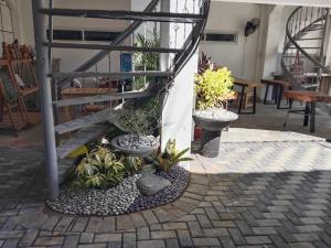 a group of plants in pots on a staircase at The SD Apartment in Camiling